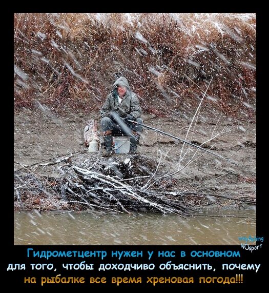 Смешные картинки и демотиваторы про алкоголь