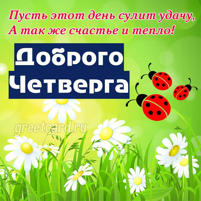 Уже четверг