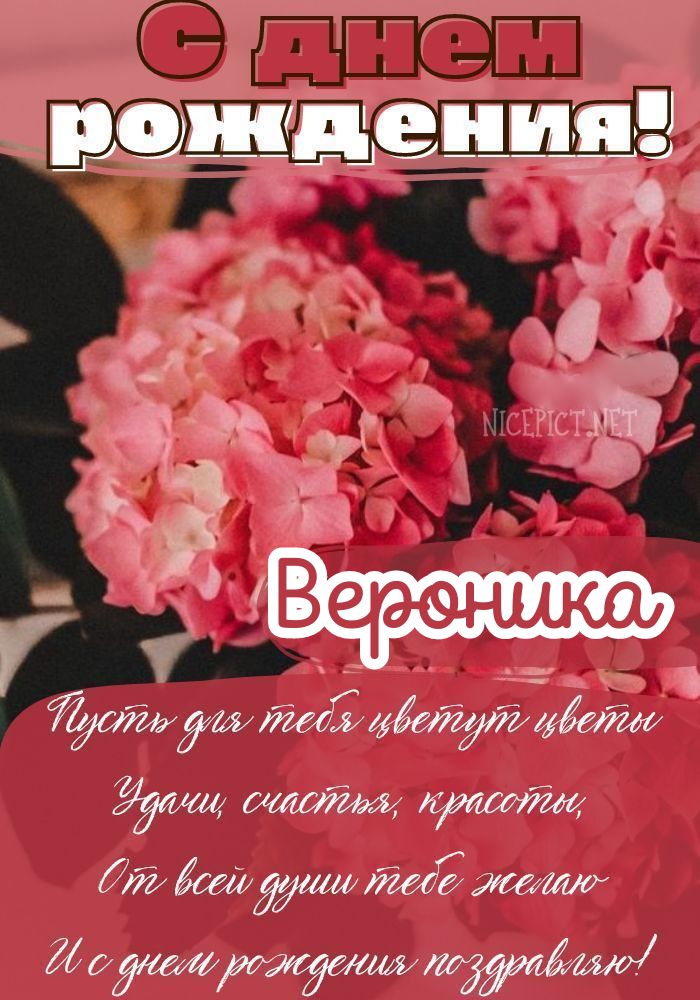 День Рождения Вероники Поздравление | TikTok