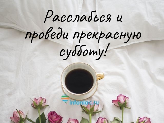 Идеи на тему «Суббота» | субботы, смешные открытки