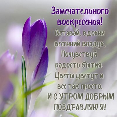 Открытки открытки доброе весеннее утро