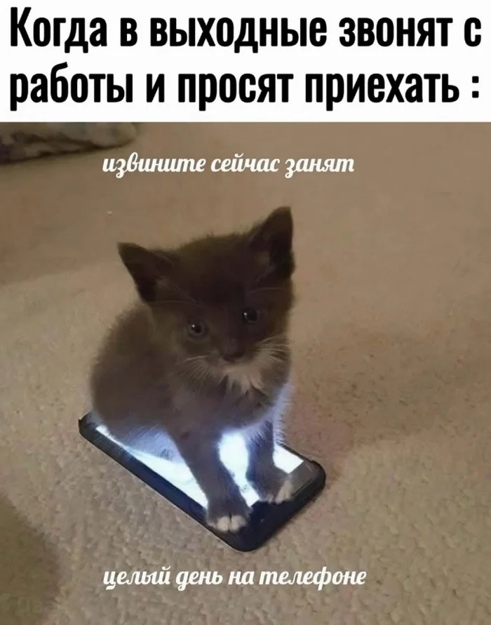 Смешные открытки про работу 