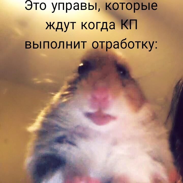 Мемы Хомяк с ножом