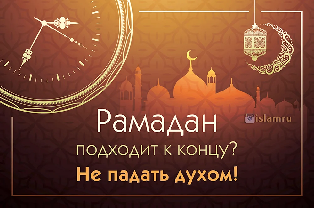 Поздравления с новым учебным годом 2009/2010!