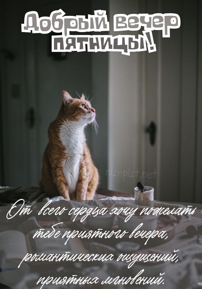 Приколы про пятницу картинки