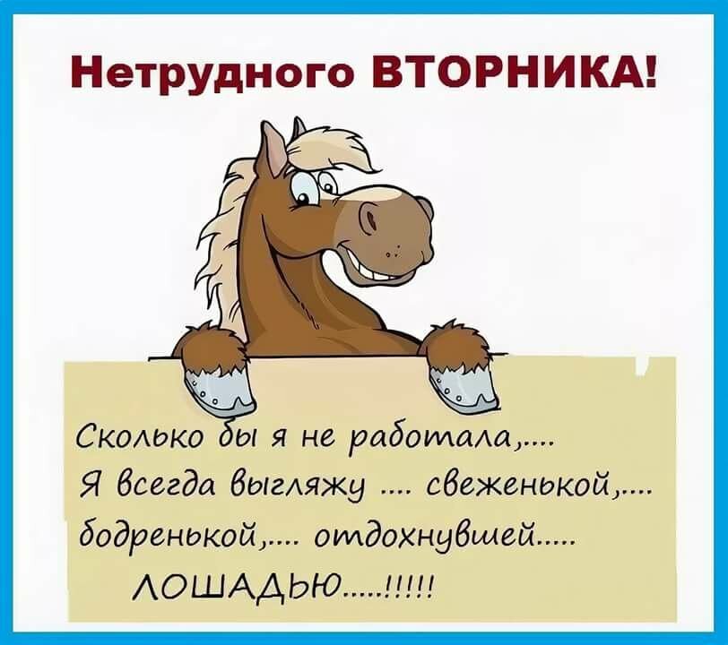 😃 Скачать бесплатно прикольные картинки