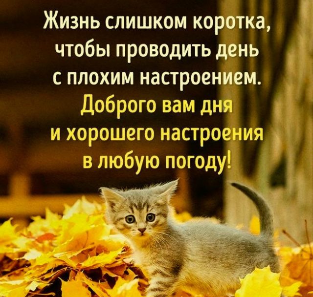 Открытки @ smeha.net — Пожелания