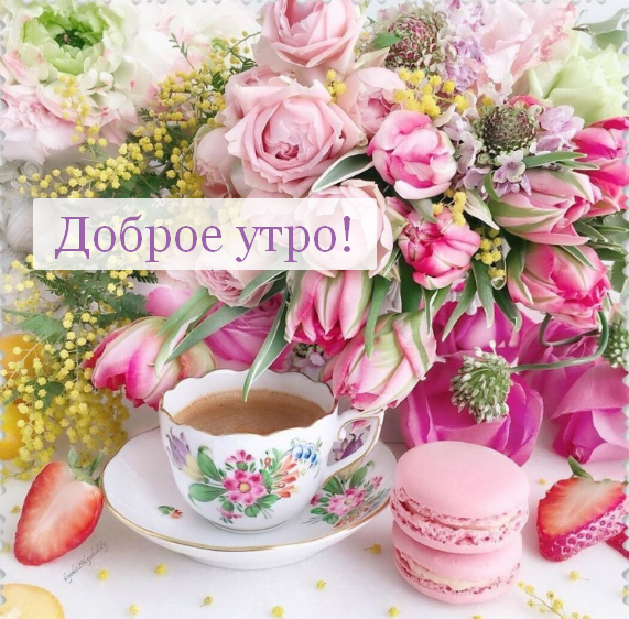 Красивые картинки Доброе утро ☀️☕