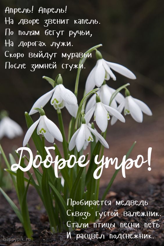 Доброе утро! 🌸 Счастливой вам Весны! 🌺 С Добрым весенним