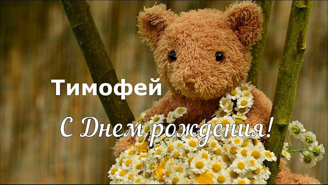 Поздравления и открытки: Тимофей, с Днём Рождения! 💝 +