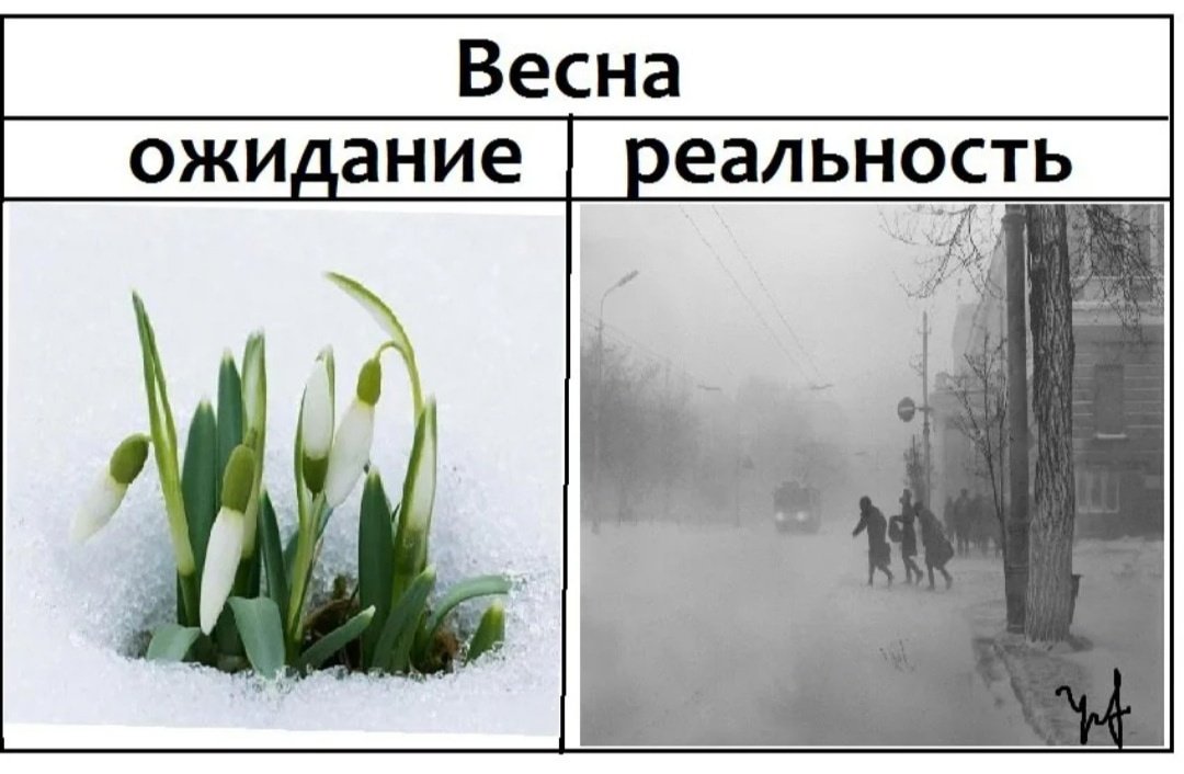 В ожидании весны | Дневники