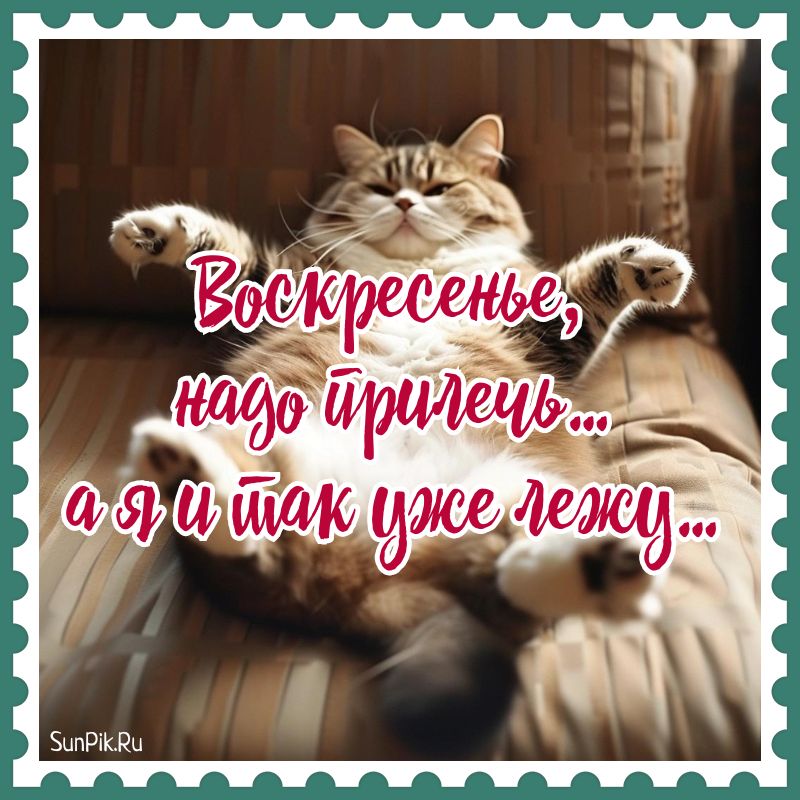 Открытки с Днём Рождения с котом: 70