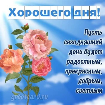 🌹Доброго Дня Отличного Настроения! Открытки Добрый День