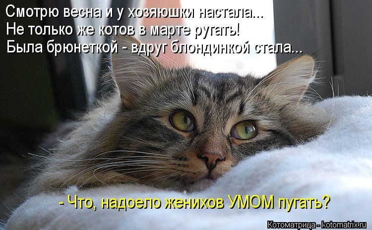 😸Ой