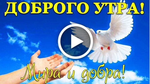 Пожелания доброго утра картинки