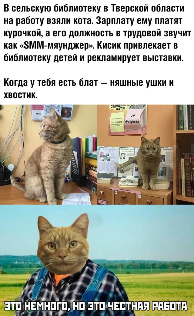 Счастье