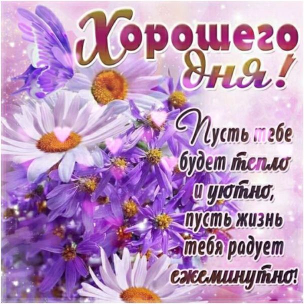 💗 Открытка хорошего дня! Доброго дня