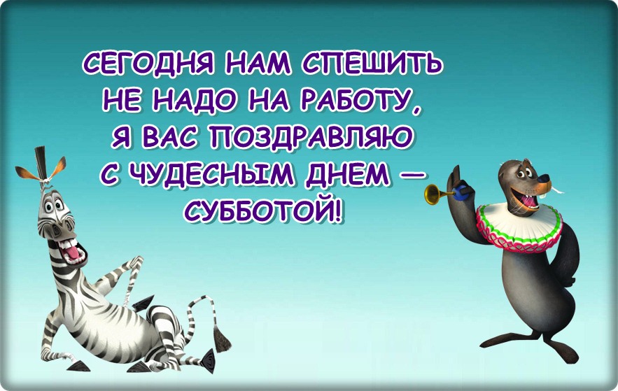 Доброе утро суббота картинки смешные