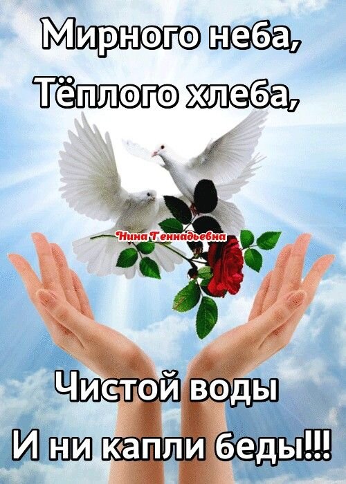 Доброго утра!.. Мирного неба над головой! 🙌🕊🌏☀❤ | ВКонтакте