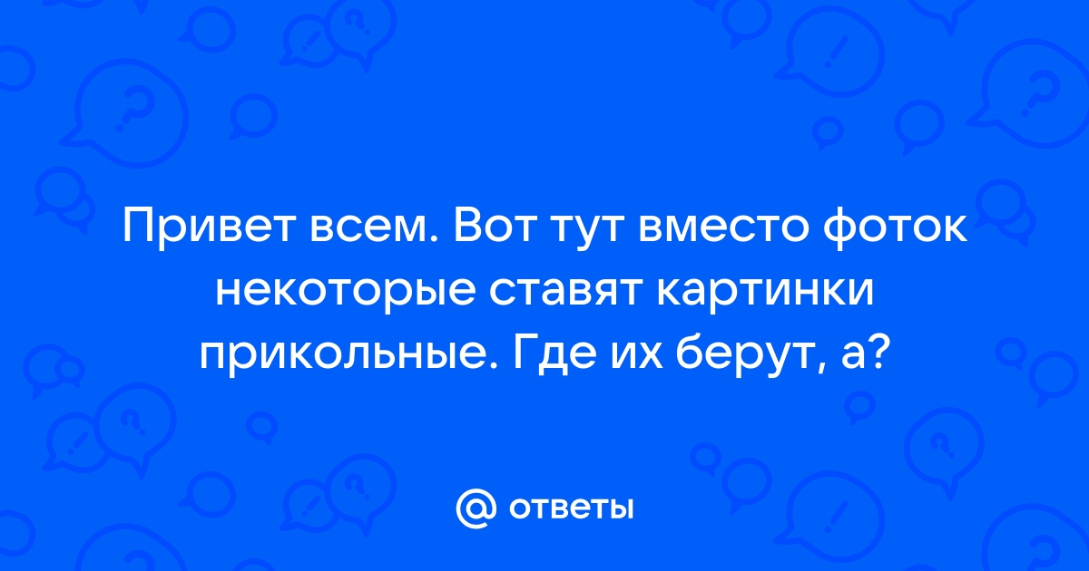 Прикольная открытка привет с пушистым котом 2024