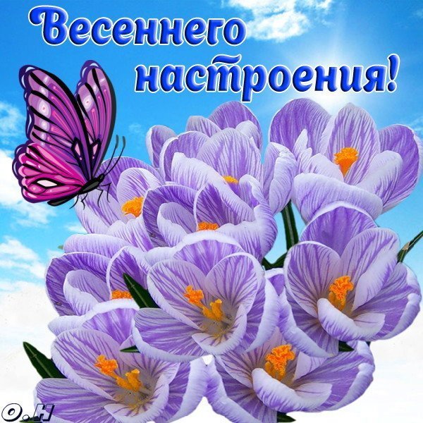 Хорошего весеннего дня