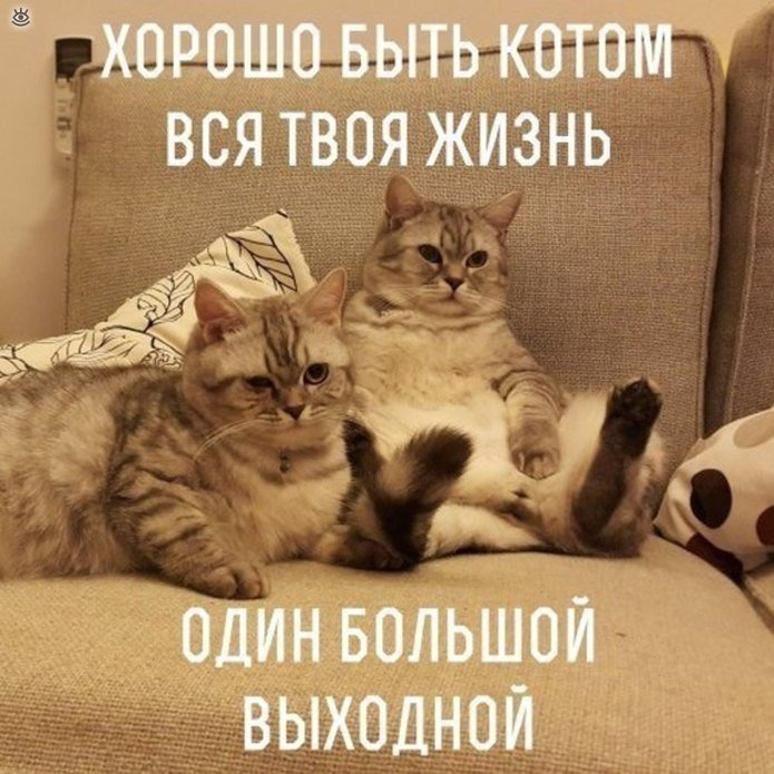 Хороших выходных :): ibigdan — LiveJournal