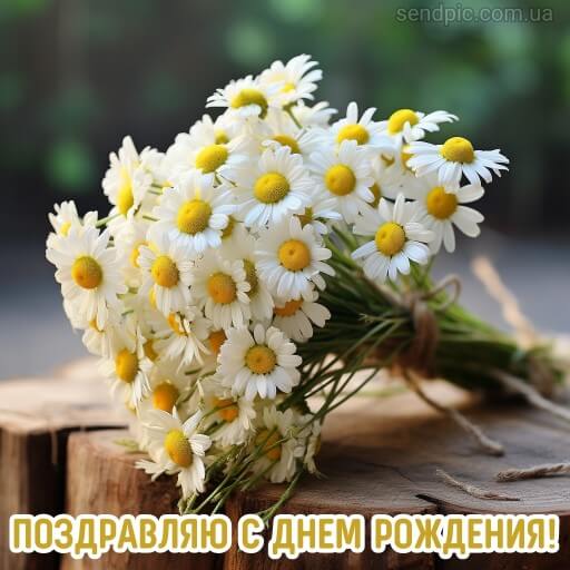 Открытка с ромашками подруге 