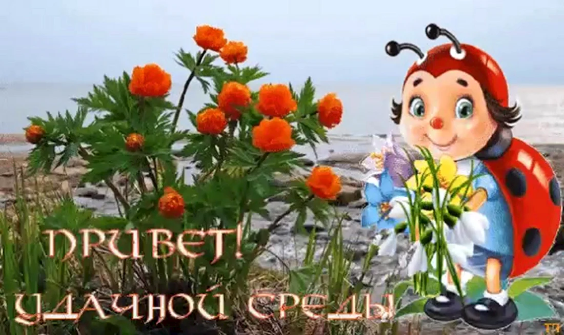 ➡️ Доброе утро 🌺 всем отличной недели