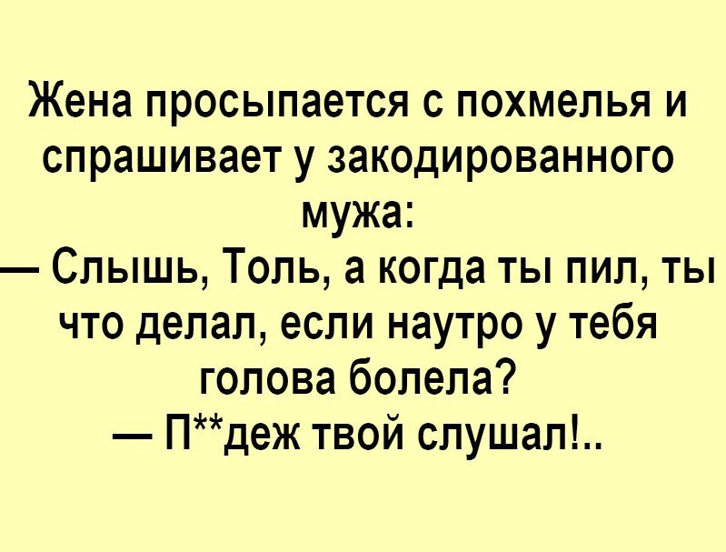 Дружеское ржание, медвежье похмелье и носорожий душ: самые