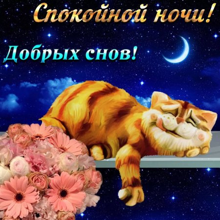 Доброй Ночи! Самое красивое пожелание