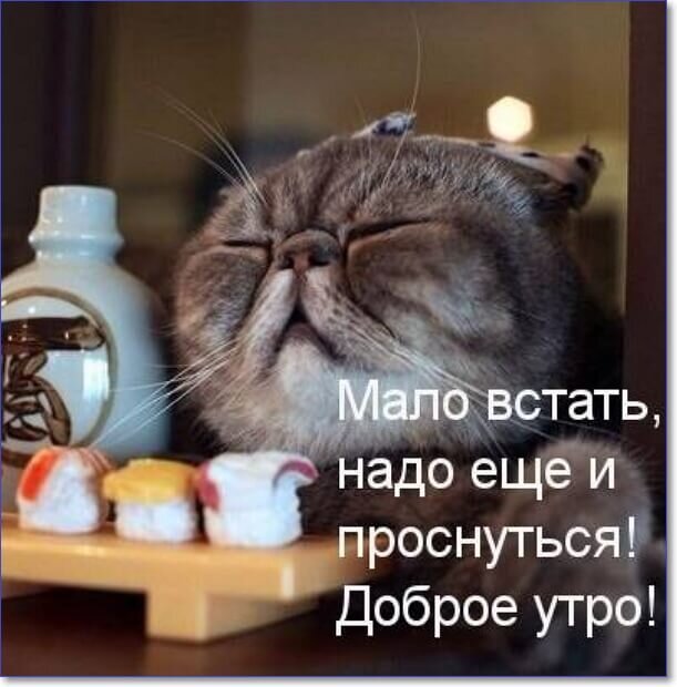 Прикольные картинки Доброе утро 👍 😄