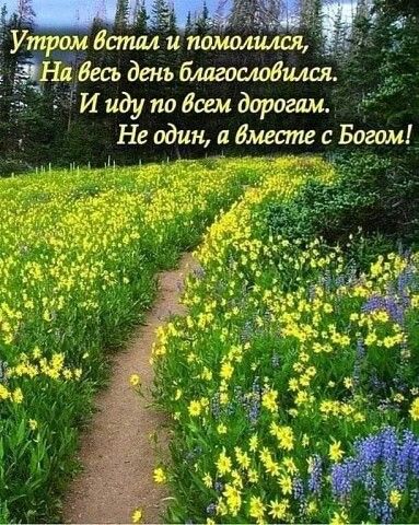 Открытка Доброго вам дня! Мир вам и дому вашему! Храни вас Бог!