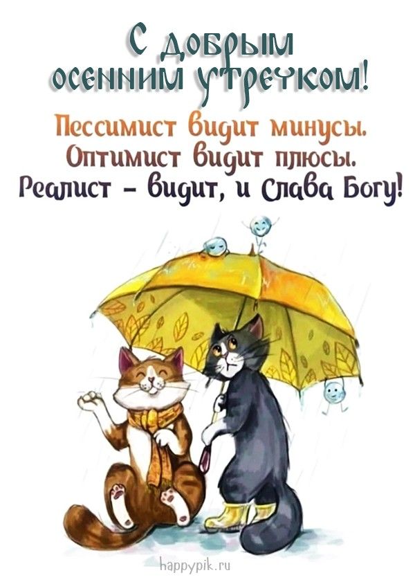 Прикольные пожелания хорошего дня своими словами — 49 шт