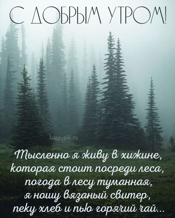 Пожелания С добрым утром женщине: коротко и сердечно