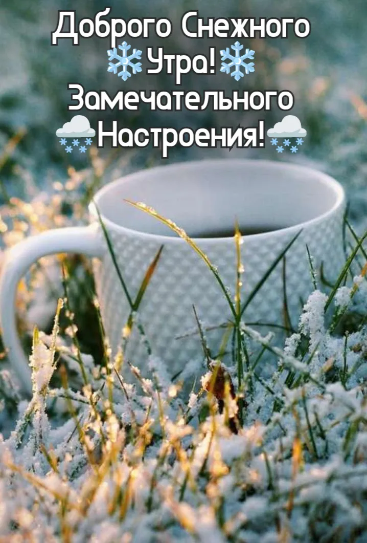 Доброе Утро Прикольные Для Поднятия Настроения | TikTok