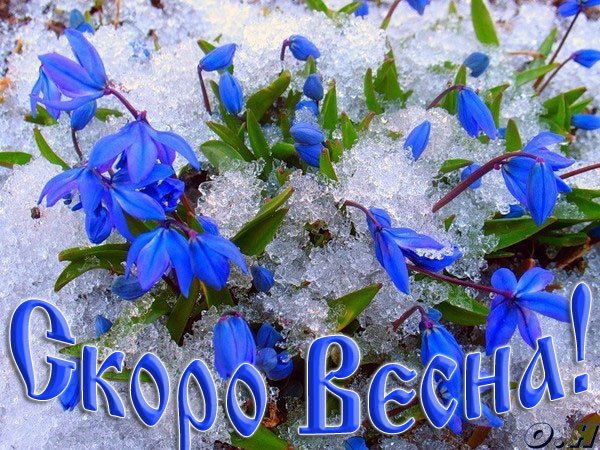 💗 Открытка, картинка, первый день весны, первое марта