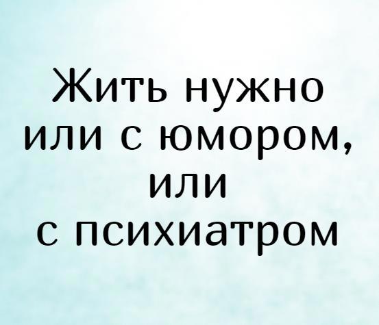 Цитаты про пиво: короткие, прикольные, со смыслом | Блог