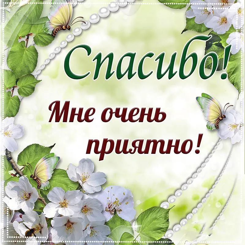 Спасибо солнышко, мне очень приятно! Спасибо. Спасибо, солнышко.