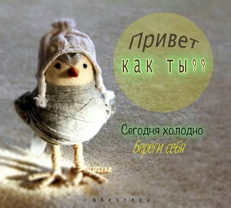 доброеутро#привет #прикол #рек#врекомендации | TikTok