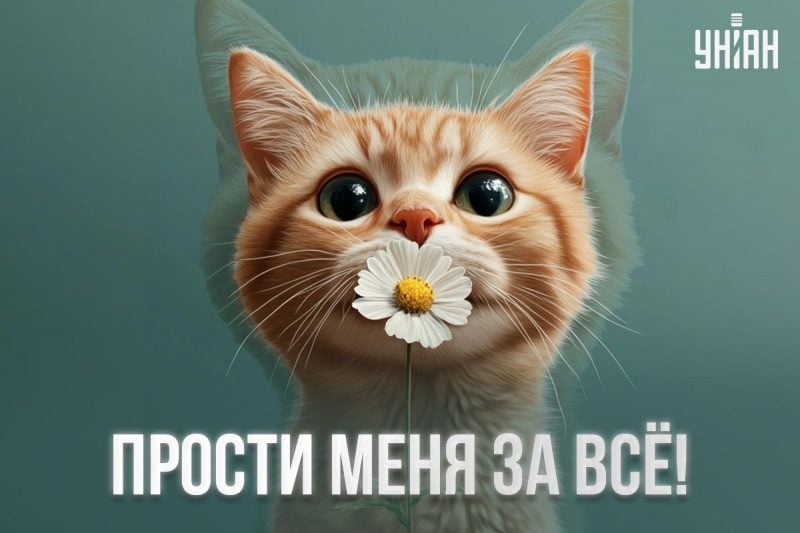 Приложения в Google Play – 18+ Animated Stickers for What