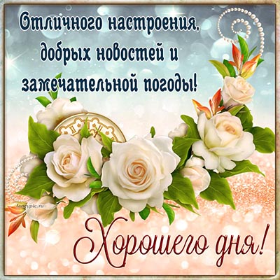 С добрым утром!#добрыепожелания #прекрасногонастроения