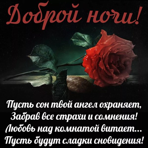 СПОКОЙНОЙ НОЧИ, ЛЮБИМАЯ❤️! Я ЛЮБЛЮ ТЕБЯ! ЖЕЛАЮ ХОРОШИХ СНОВ