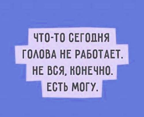 97 смешных картинок с надписями для