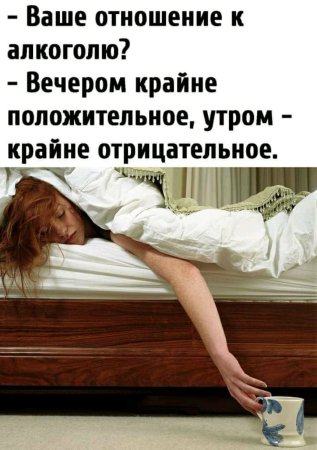 Веселье с похмелья. Пародии