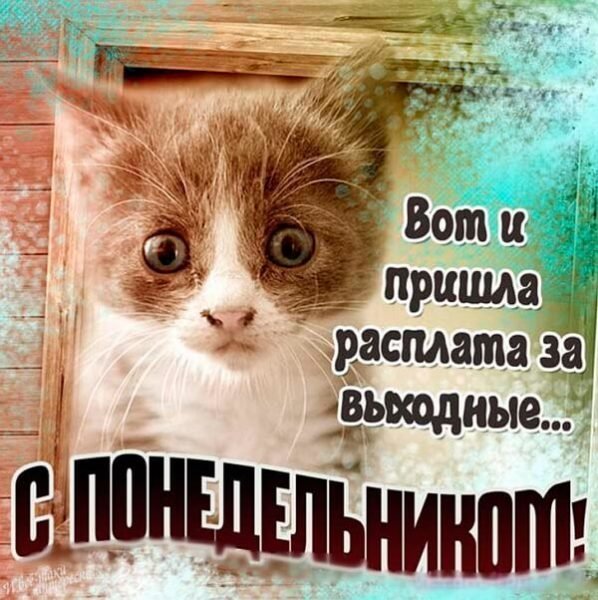 Юмор online