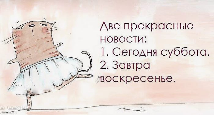 Прикольные статусы про субботу