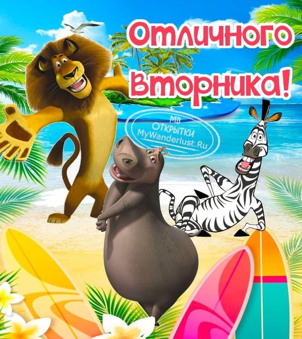 Вторник картинки прикольные Новыес надписями 🦒 АуФФ