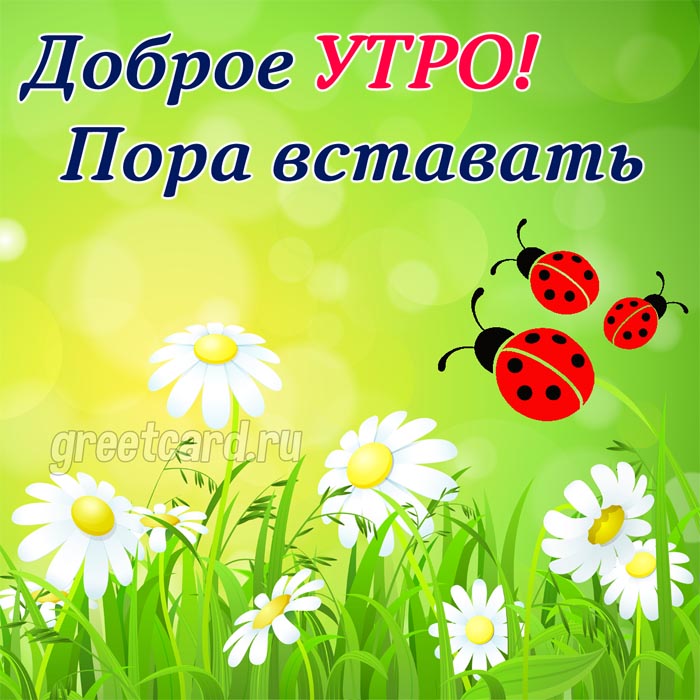 Открытки доброе утро доброго дня