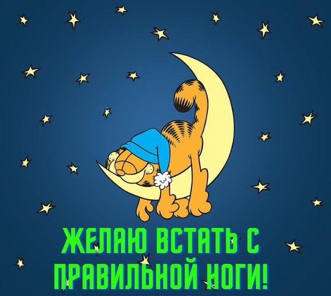 Ночные приколы