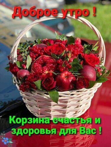 С Добрым Утром! ☕🌹Красивейшие Пожелания Доброго Утра и